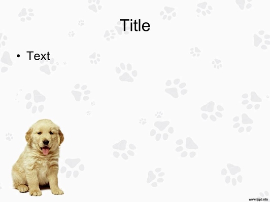 Маленькая собака лабрадор - слайд 2