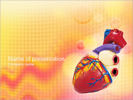 Модель сердца - Титульный слайд