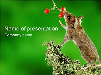 Мышь - Титульный слайд
