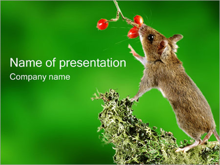 Мышь - Титульный слайд