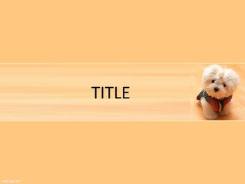 Маленькая собака в одежде - Титульный слайд