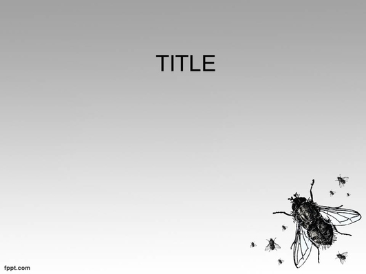 Большая муха - Титульный слайд