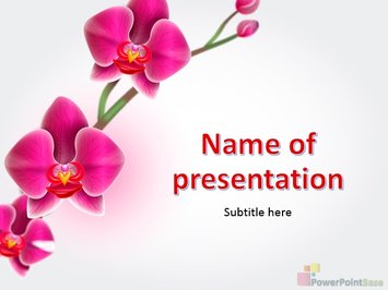 Розовая орхидея, весна - Титульный слайд