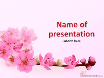 Цветущее дерево, розовые цветы - Титульный слайд