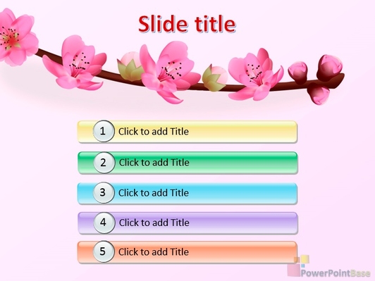 Цветущее дерево, розовые цветы - слайд 2