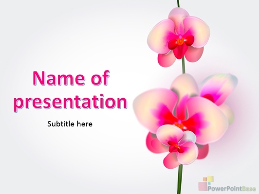 Цветная цветущая орхидея - Титульный слайд
