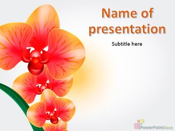 Оранжевая орхидея  - Титульный слайд