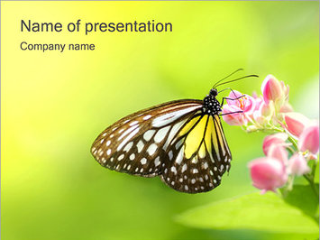 Бабочка на цветке - Титульный слайд