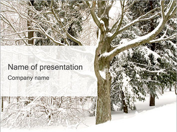 Зима и деревья, зимний лес - Титульный слайд