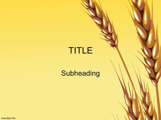 Колос пшеницы - Титульный слайд