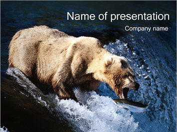 Медведь ловит рыбу - Титульный слайд