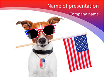 Собака с американским флагом в зубах - Титульный слайд