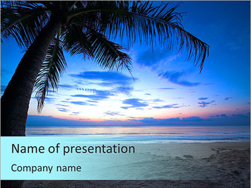 Большая пальма, закат в тропиках, море и песчаный берег - Титульный слайд