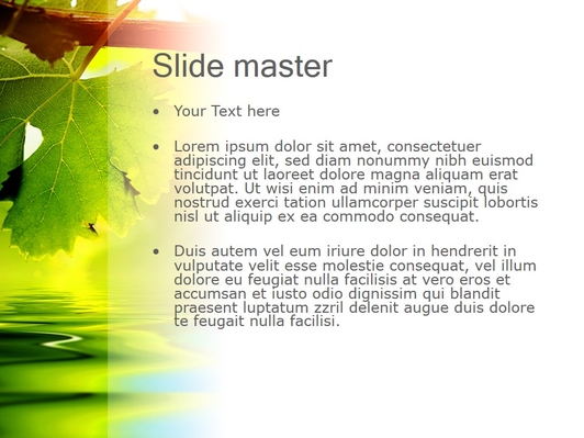 Зеленый виноградный лист - слайд 2