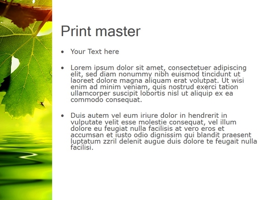 Зеленый виноградный лист - слайд 3