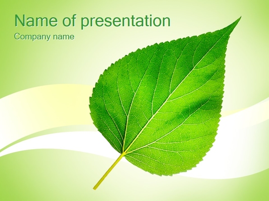 Зеленый листок дерева - Титульный слайд