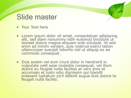 Зеленый листок дерева - слайд 2